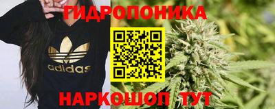сатива Нальчик